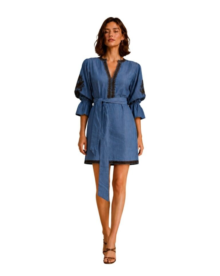The Madeline Denim Dress